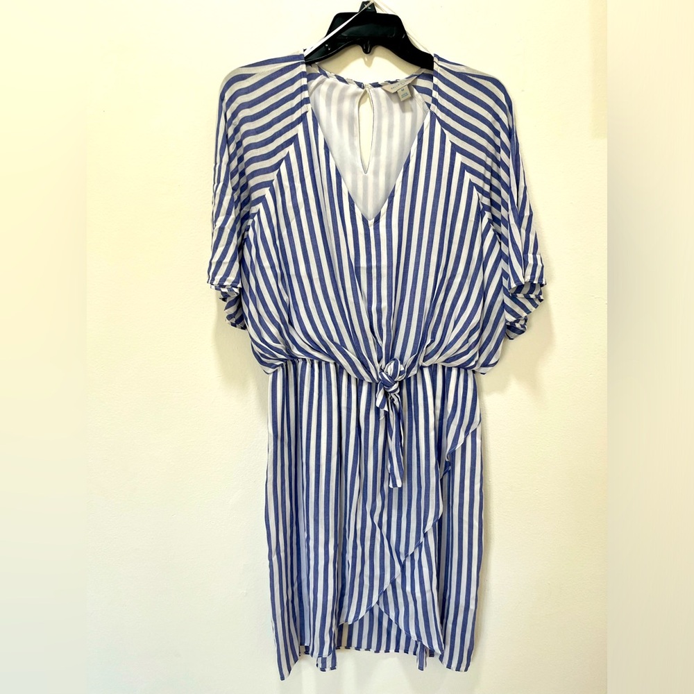 NWOT. Blue & white Strip Dress